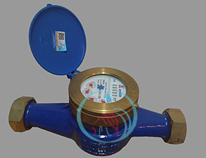 Category Water Meter Amico